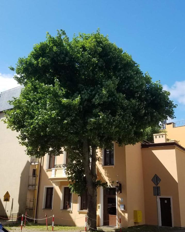 Apartment Na Cichej 5 A2